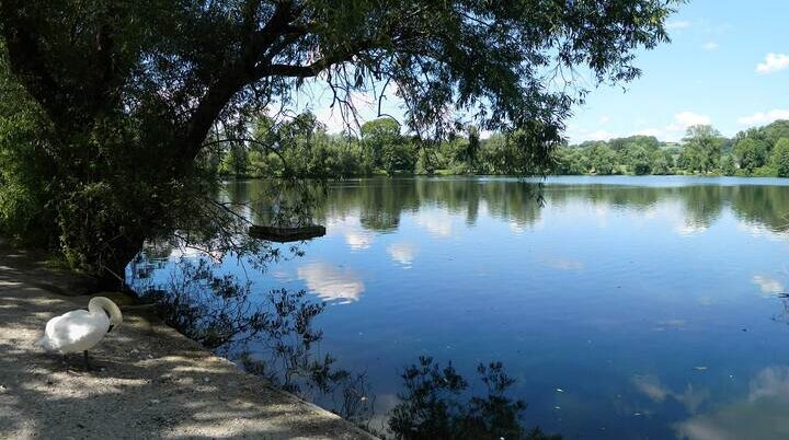 Abtkücher Teich | © bemerkenswelt.de