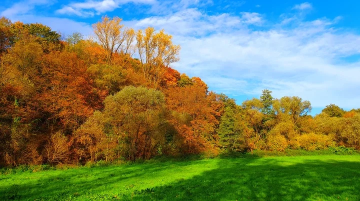 Nackerbachtal | © Anke Steinfeld Nackerbachtal | © Anke Steinfeld