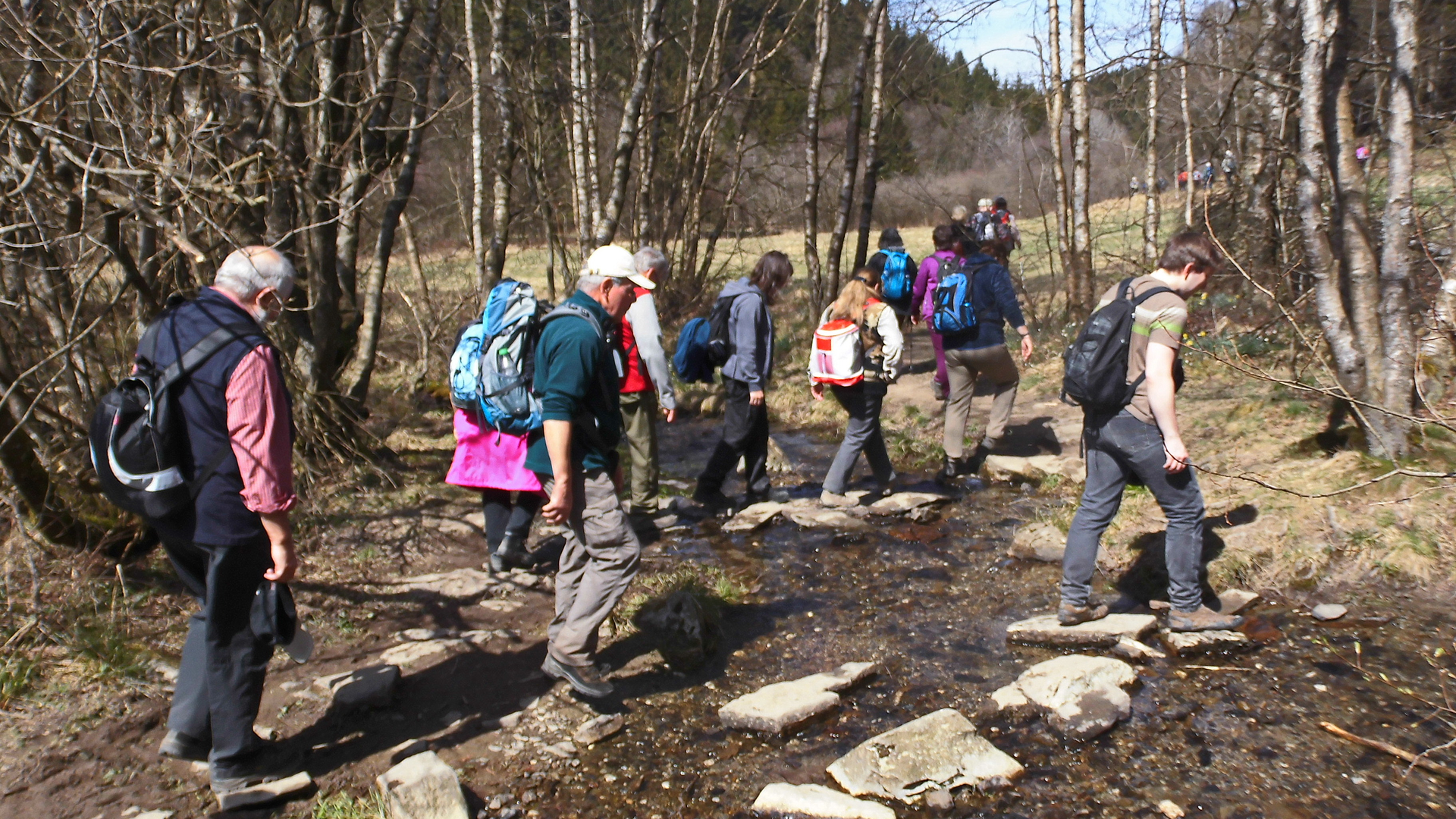 Narzissenwanderweg Eifel | © Uwe Drath