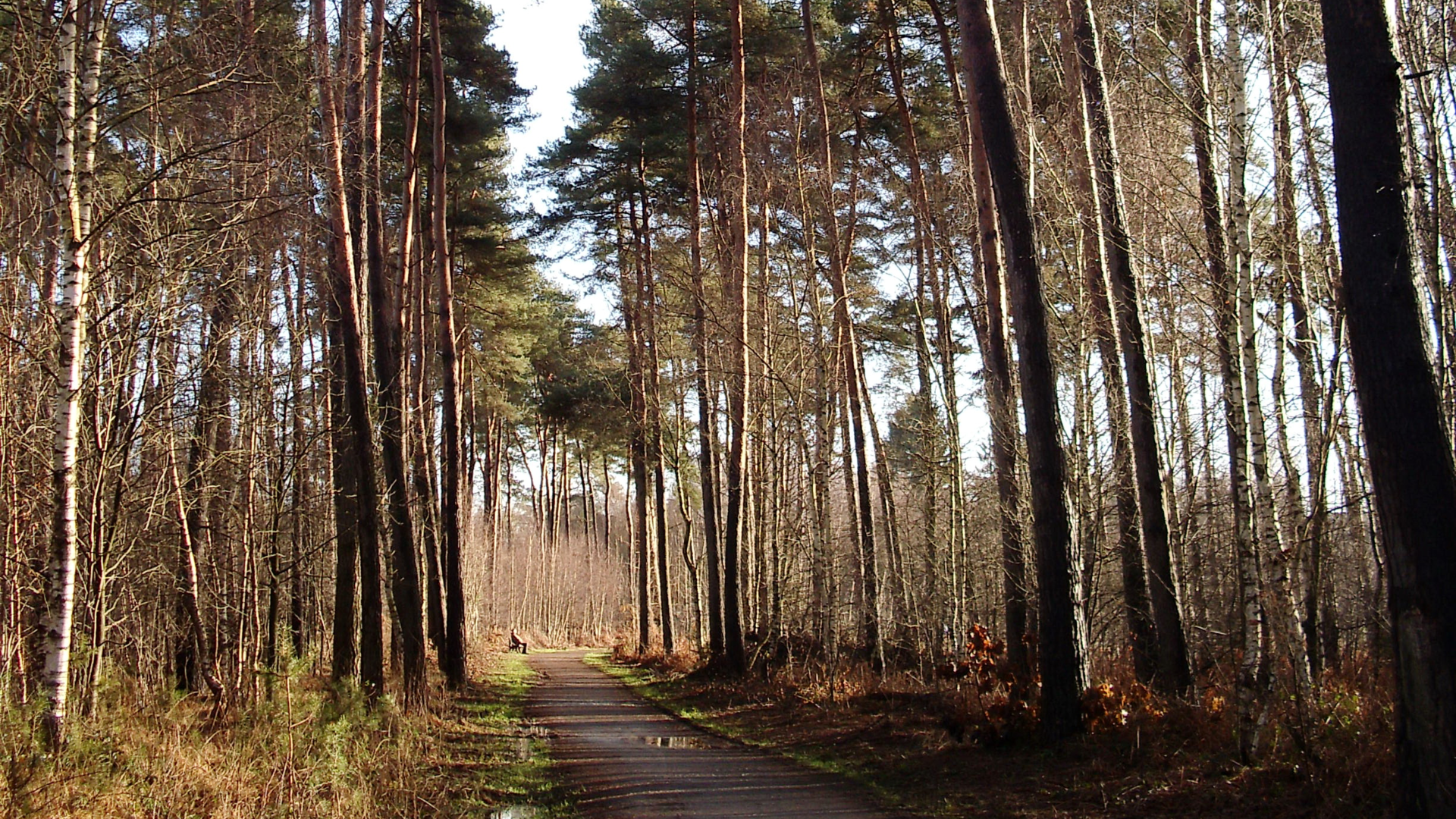 Ohligser Heide | © Uwe Drath